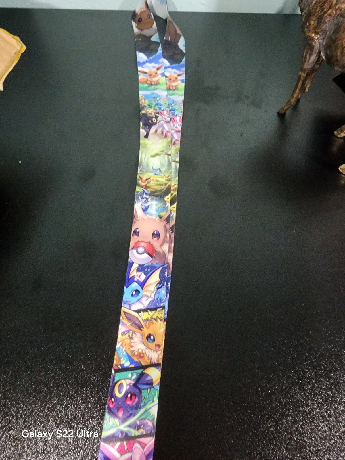 Shows Lanyard