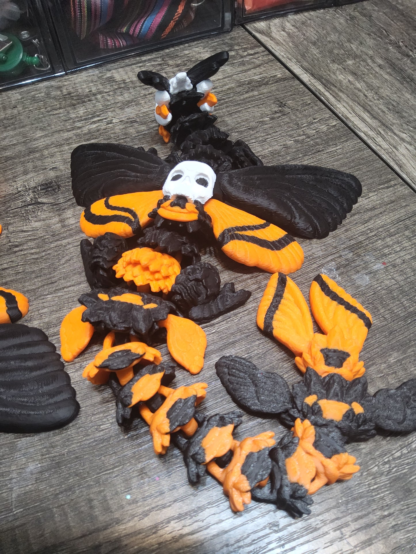 (Oopsy) Skeleton Dragon Moth (Large)