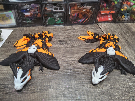 (Oopsy) Skeleton Dragon Moth (Large)